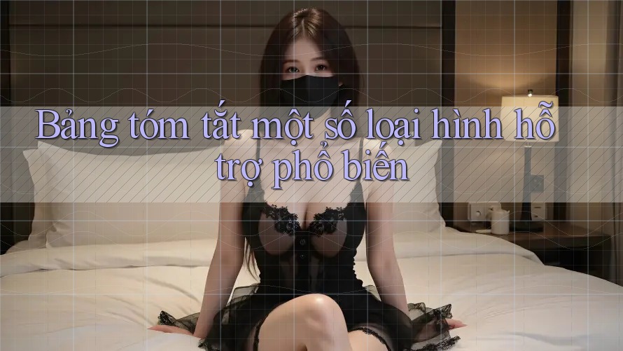 Bảng tóm tắt một số loại hình hỗ trợ phổ biến