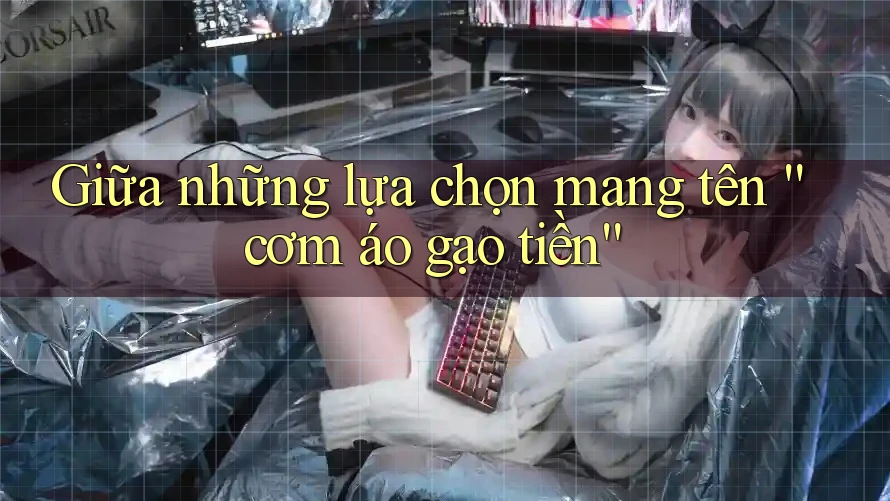 Giữa những lựa chọn mang tên “cơm áo gạo tiền” Giữa những lựa chọn mang tên “cơm áo gạo tiền”