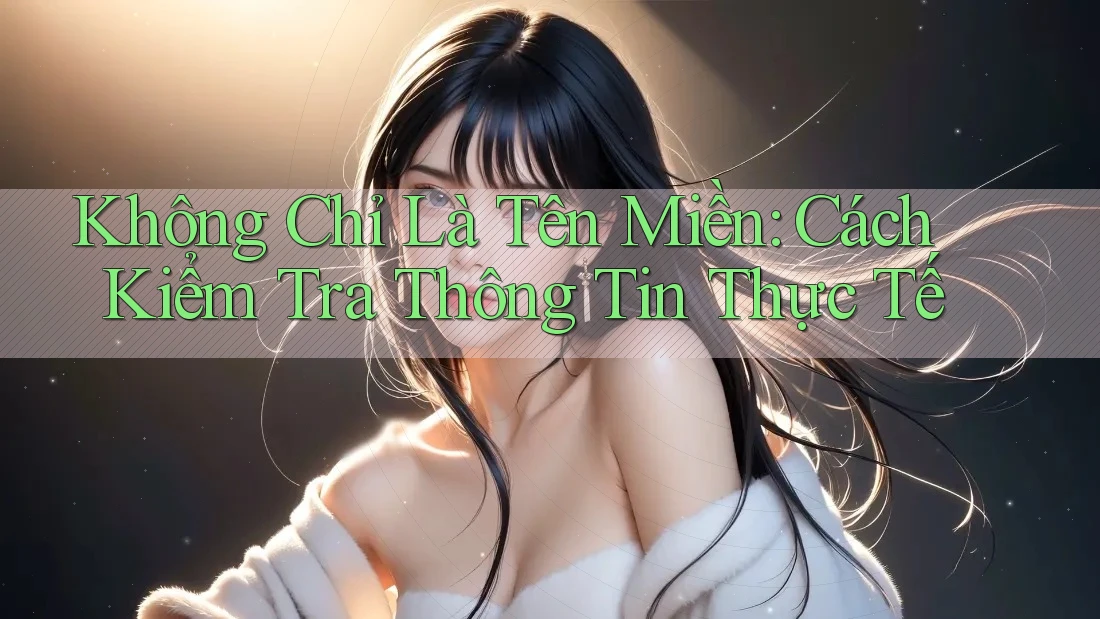 Không Chỉ Là Tên Miền: Cách Kiểm Tra Thông Tin Thực Tế Không Chỉ Là Tên Miền: Cách Kiểm Tra Thông Tin Thực Tế