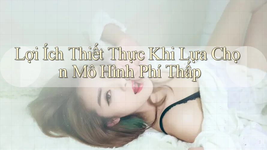 Lợi Ích Thiết Thực Khi Lựa Chọn Mô Hình Phí Thấp Lợi Ích Thiết Thực Khi Lựa Chọn Mô Hình Phí Thấp