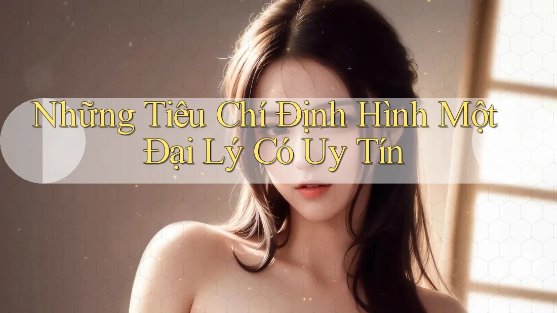 Những Tiêu Chí Định Hình Một Đại Lý Có Uy Tín Những Tiêu Chí Định Hình Một Đại Lý Có Uy Tín