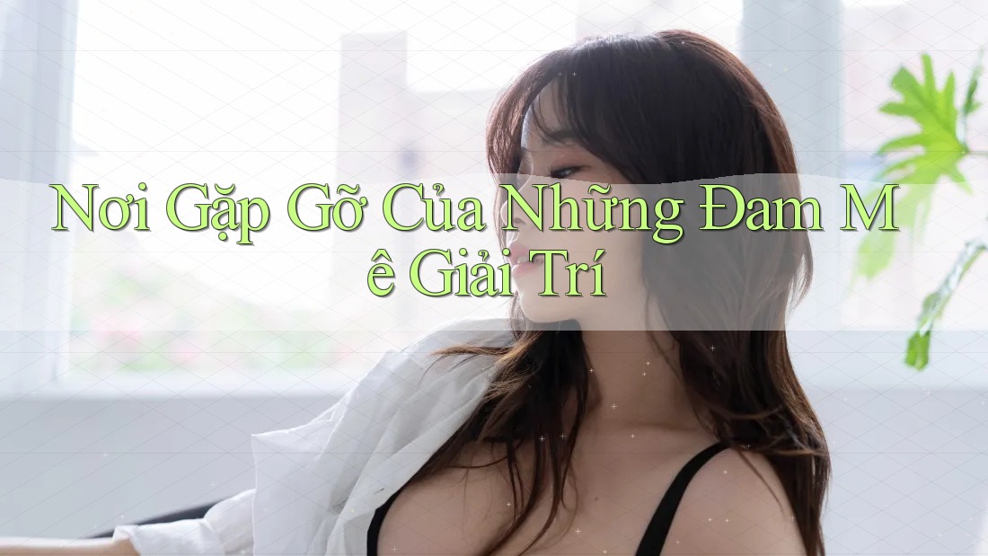 Nơi Gặp Gỡ Của Những Đam Mê Giải Trí