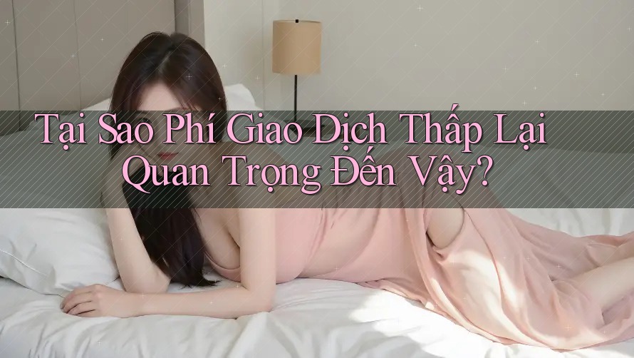 Tại Sao Phí Giao Dịch Thấp Lại Quan Trọng Đến Vậy? Tại Sao Phí Giao Dịch Thấp Lại Quan Trọng Đến Vậy?