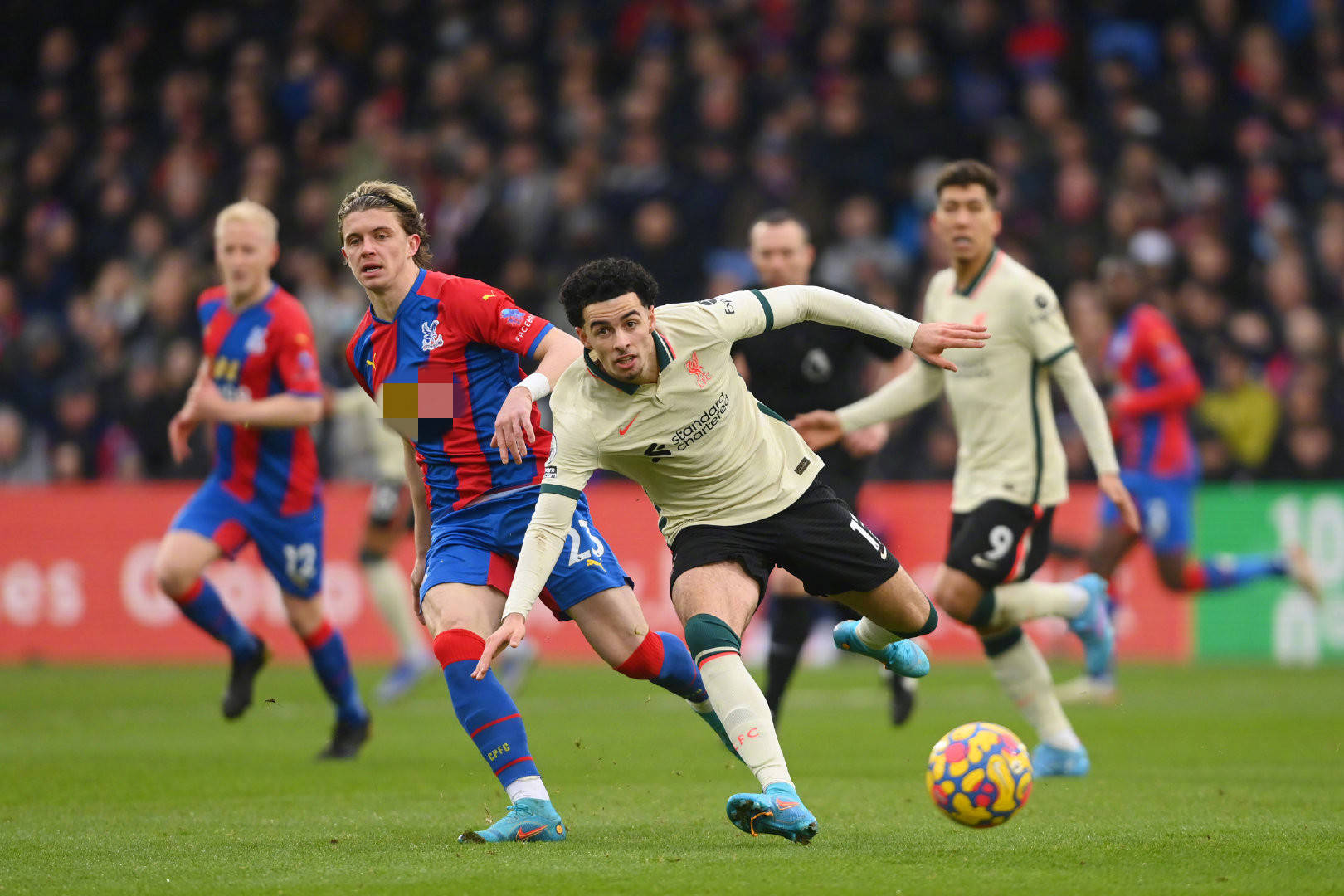 双方的每一 双方的每一